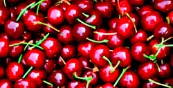 Cherries-2 Cherries-2