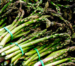 asparagus asparagus